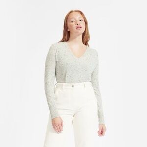 Everlane Cashmere V-Neck Sweater in Frost Donegal